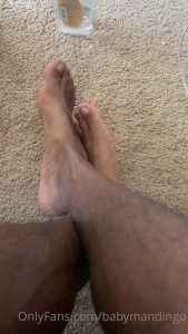 15637659