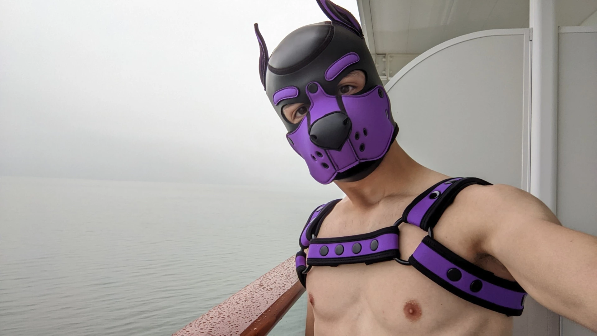 Bad Puppy [ badboxerboy ] Onlyfans leaked photo 11302082 on Hotleaks.tv