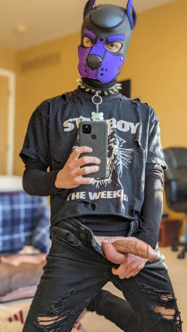 Bad Puppy [ badboxerboy ] Onlyfans leaked photo 11302161 on Hotleaks.tv