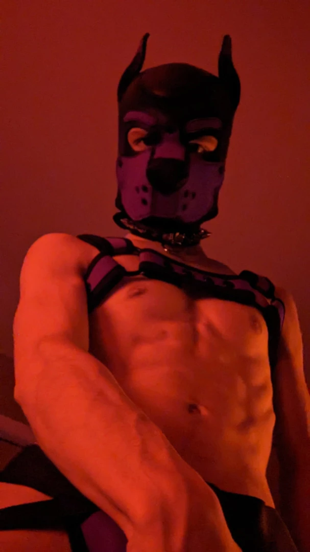 Bad Puppy [ badboxerboy ] Onlyfans leaked photo 11302182 on Hotleaks.tv
