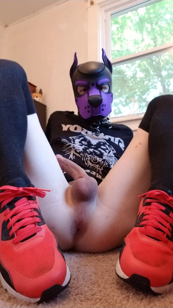 Bad Puppy [ badboxerboy ] Onlyfans leaked photo 11302313 on Hotleaks.tv