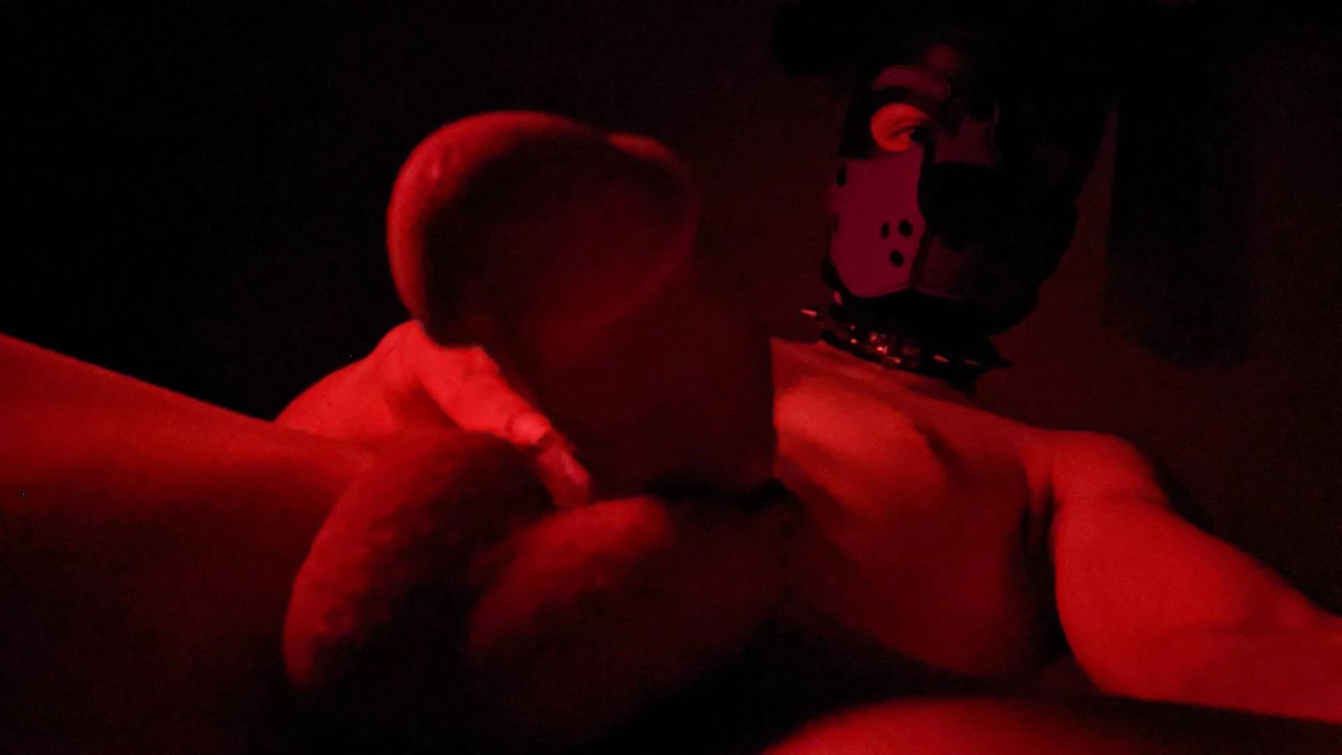 Bad Puppy [ badboxerboy ] Onlyfans leaked photo 11302343 on Hotleaks.tv