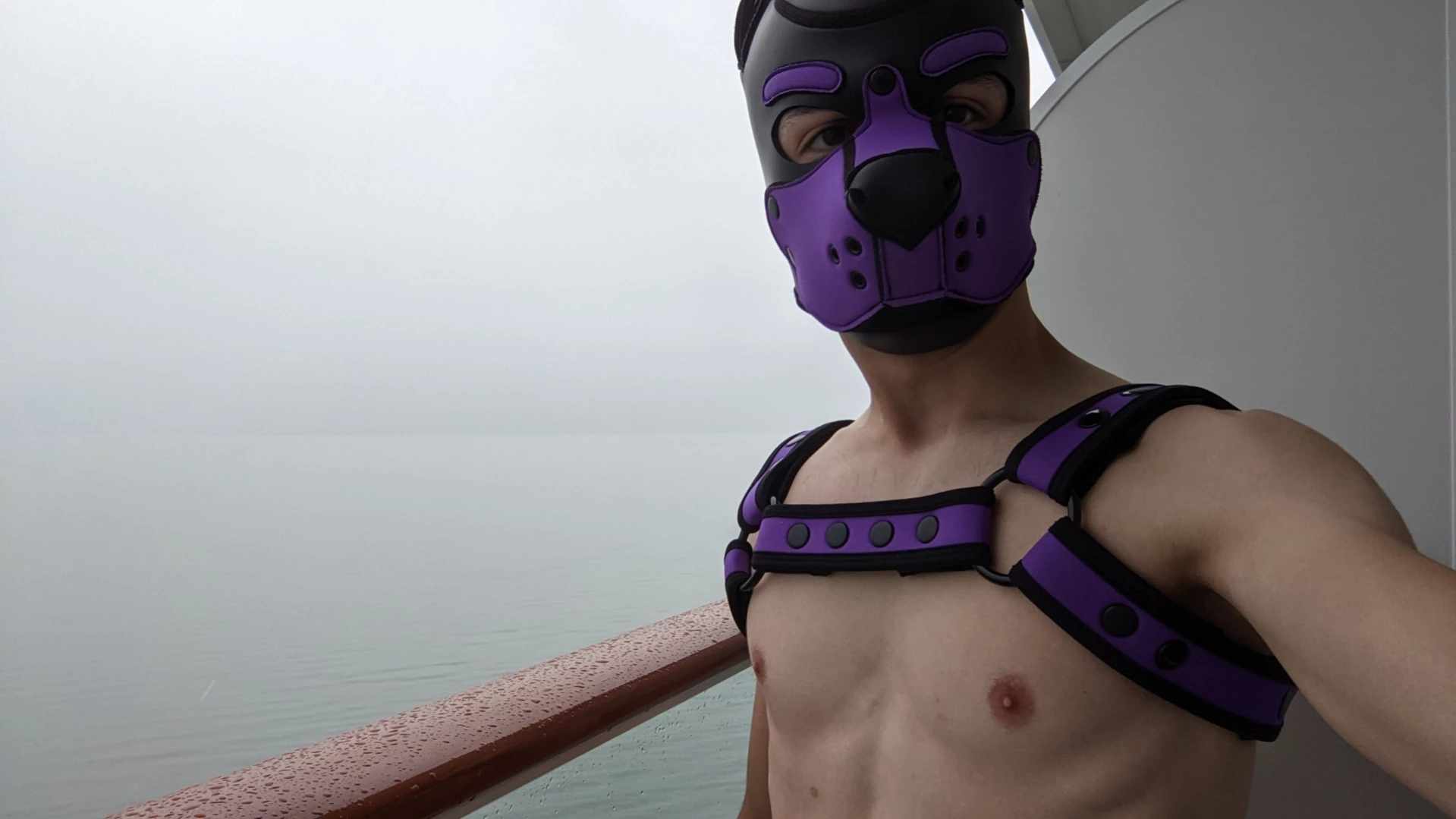 Bad Puppy [ badboxerboy ] Onlyfans leaked photo 11624293 on Hotleaks.tv