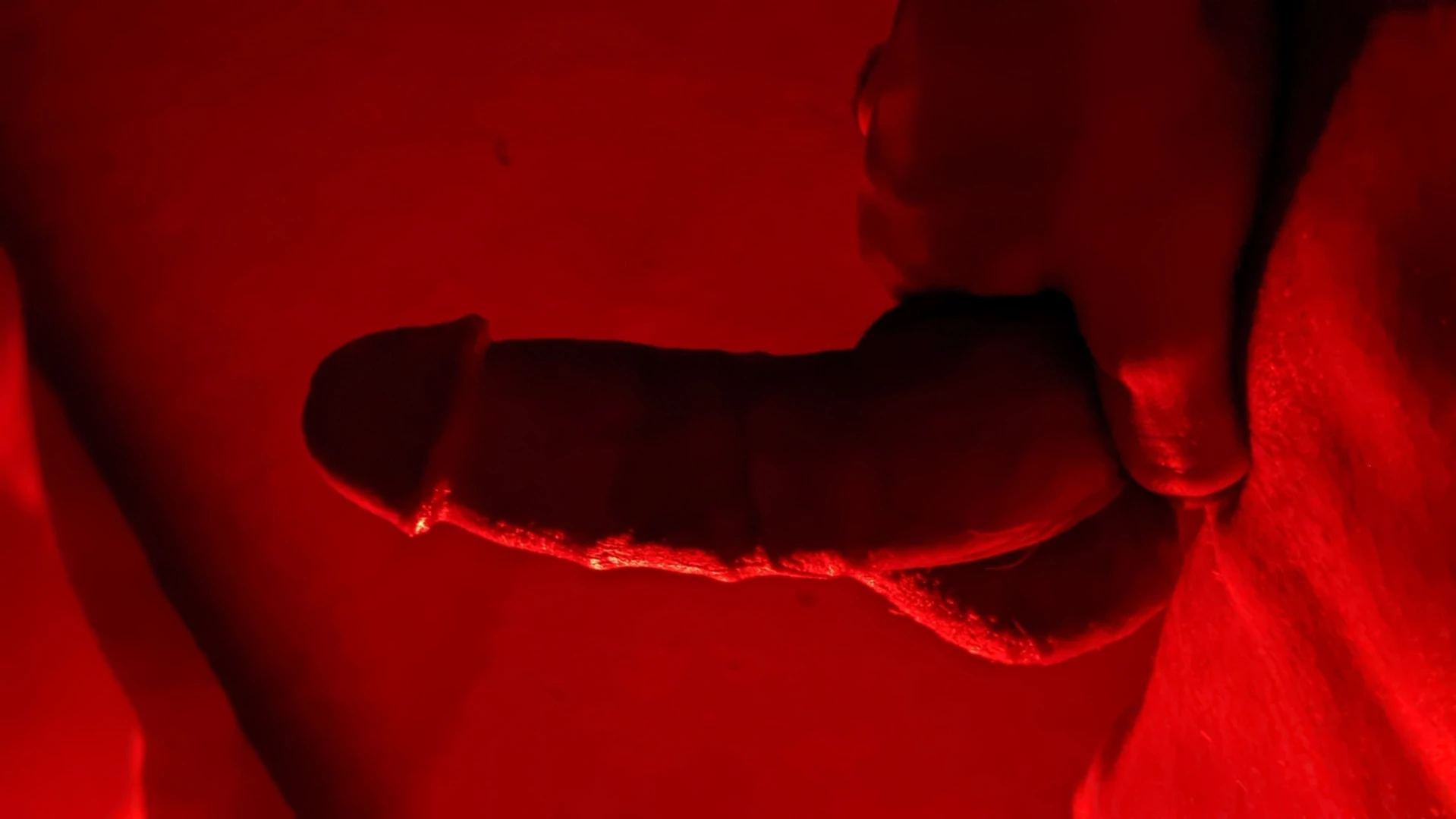 Bad Puppy [ badboxerboy ] Onlyfans leaked photo 11624327 on Hotleaks.tv