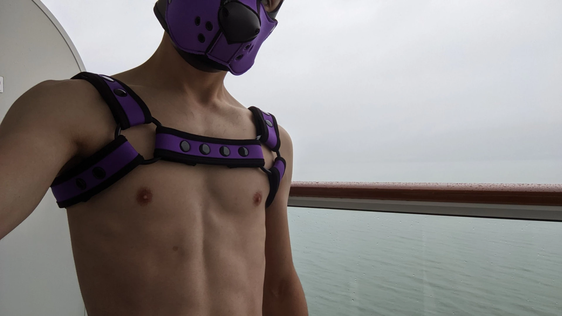 Bad Puppy [ badboxerboy ] Onlyfans leaked photo 12709406 on Hotleaks.tv
