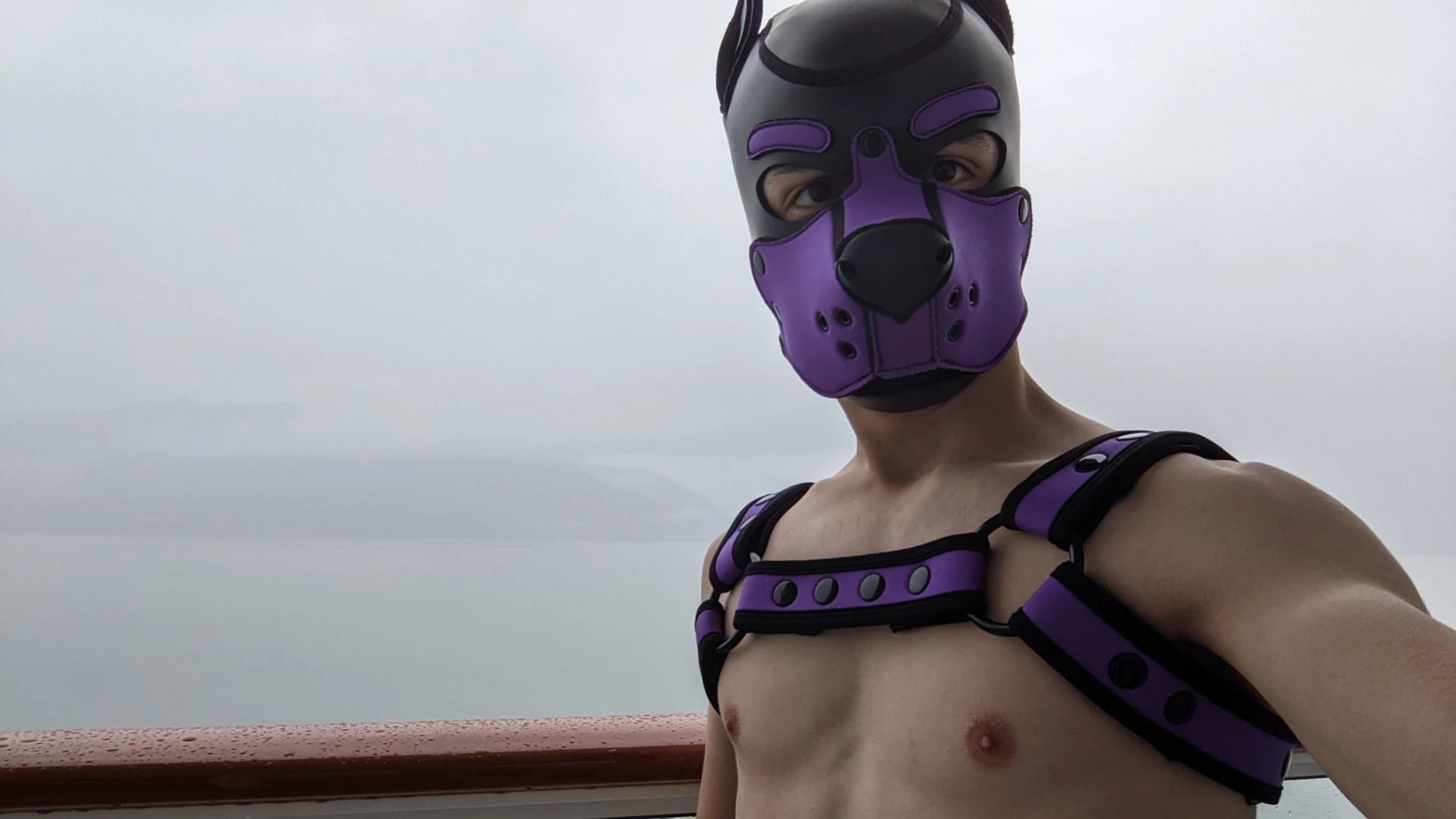 Bad Puppy [ badboxerboy ] Onlyfans leaked photo 12968154 on Hotleaks.tv