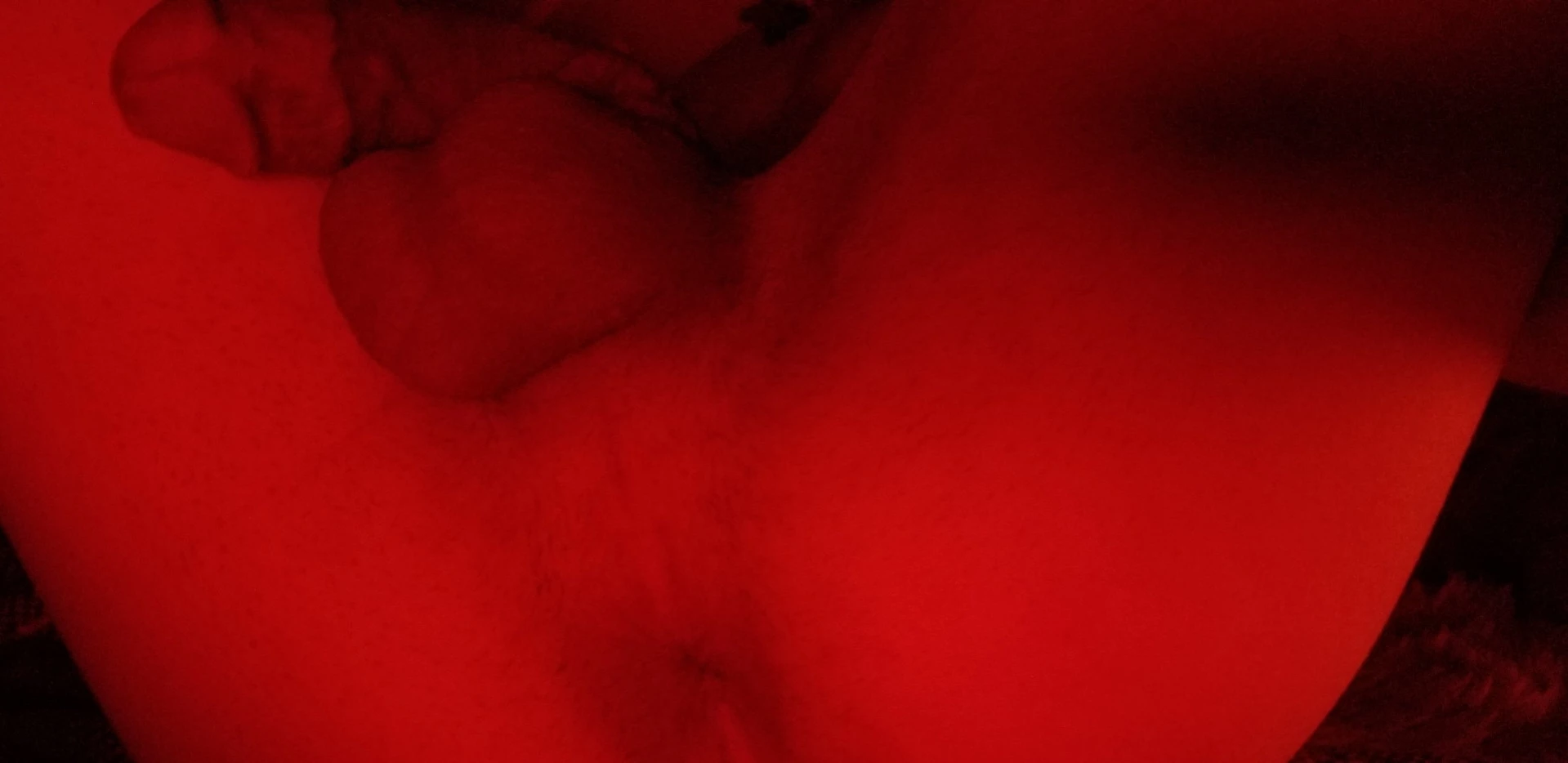 Bad Puppy [ badboxerboy ] Onlyfans leaked photo 13073530 on Hotleaks.tv