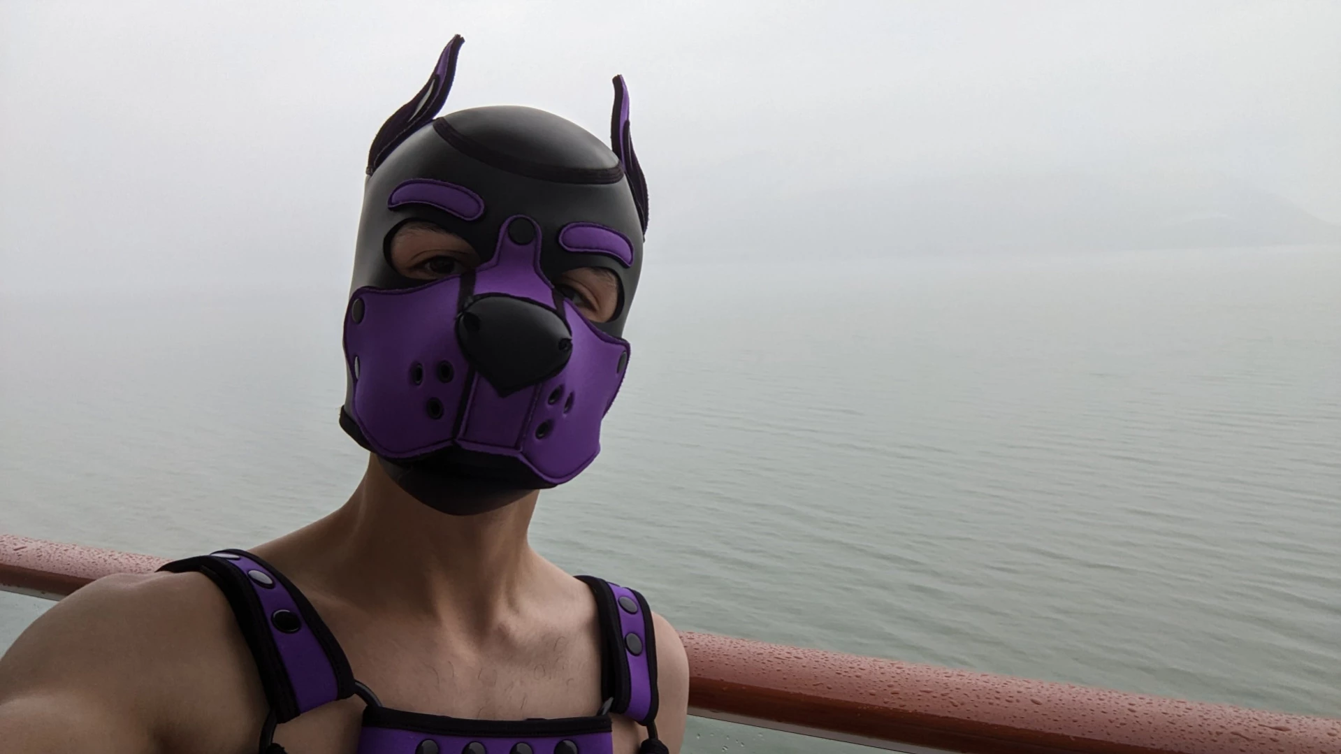 Bad Puppy [ badboxerboy ] Onlyfans leaked photo 13635880 on Hotleaks.tv