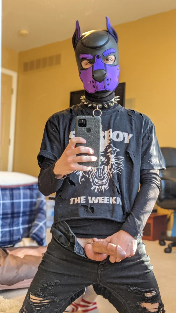Bad Puppy [ badboxerboy ] Onlyfans leaked photo 14278108 on Hotleaks.tv