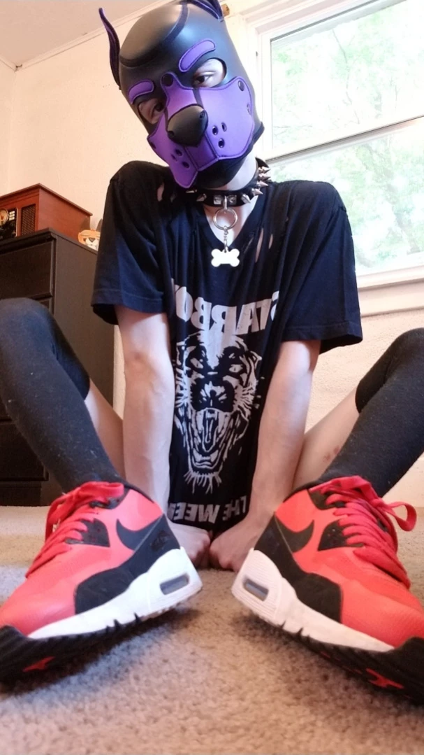Bad Puppy [ badboxerboy ] Onlyfans leaked photo 14278140 on Hotleaks.tv