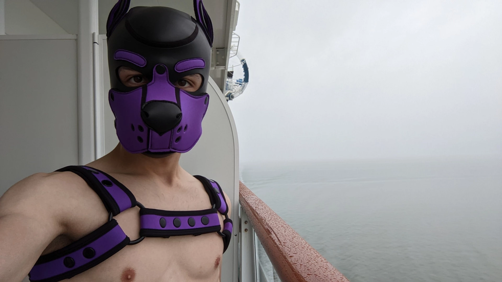 Bad Puppy [ badboxerboy ] Onlyfans leaked photo 14380007 on Hotleaks.tv