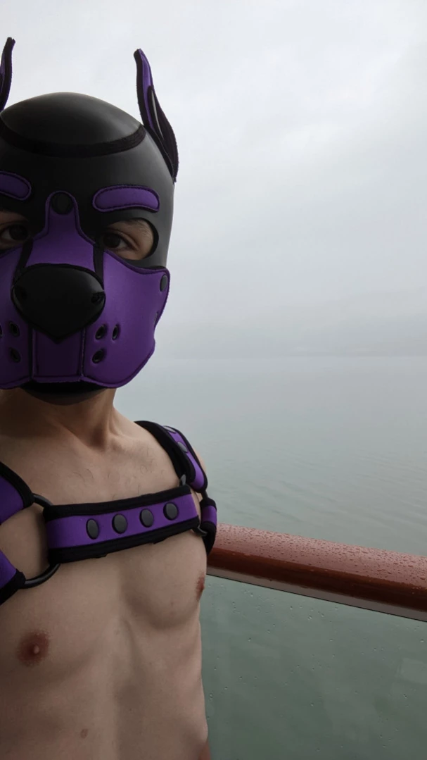 Bad Puppy [ badboxerboy ] Onlyfans leaked photo 14528999 on Hotleaks.tv