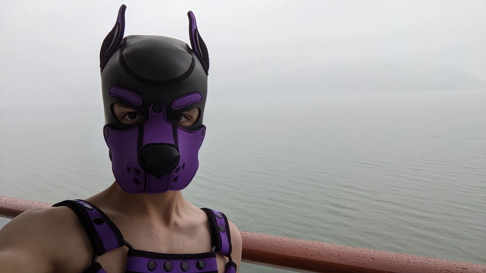 Bad Puppy [ badboxerboy ] Onlyfans leaked photo 15422936 on Hotleaks.tv