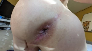 16029164