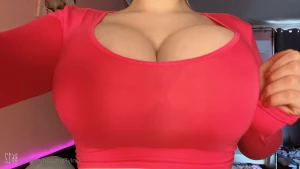 15646413