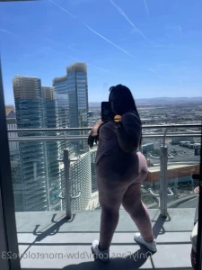 11301157