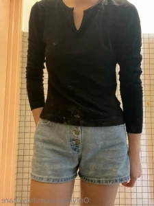 16248733
