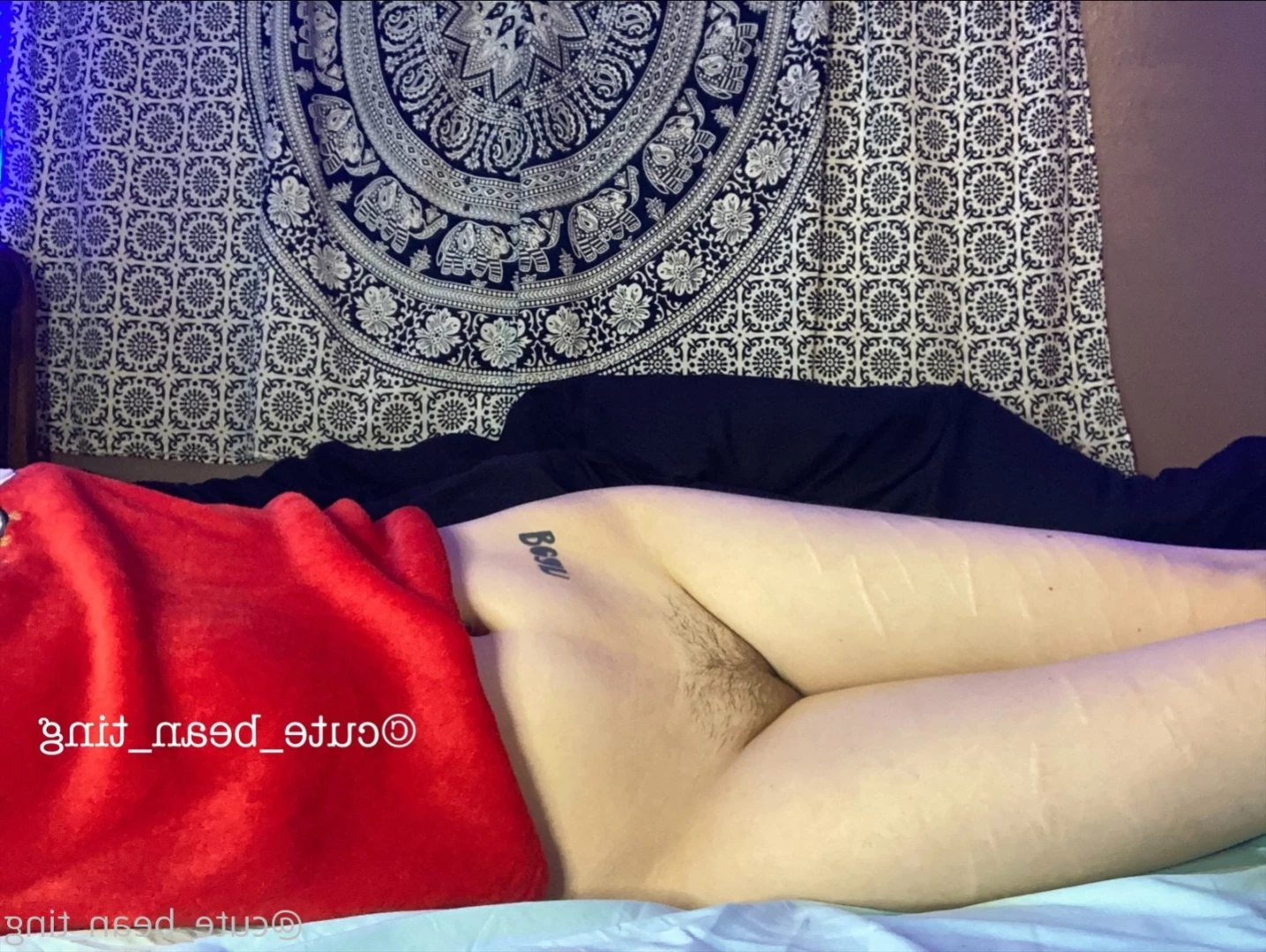 ✨ Alice Bean ✨ V.I.P. [ bean_exclusive ] Onlyfans leaked photo 11291300 on Hotleaks.tv