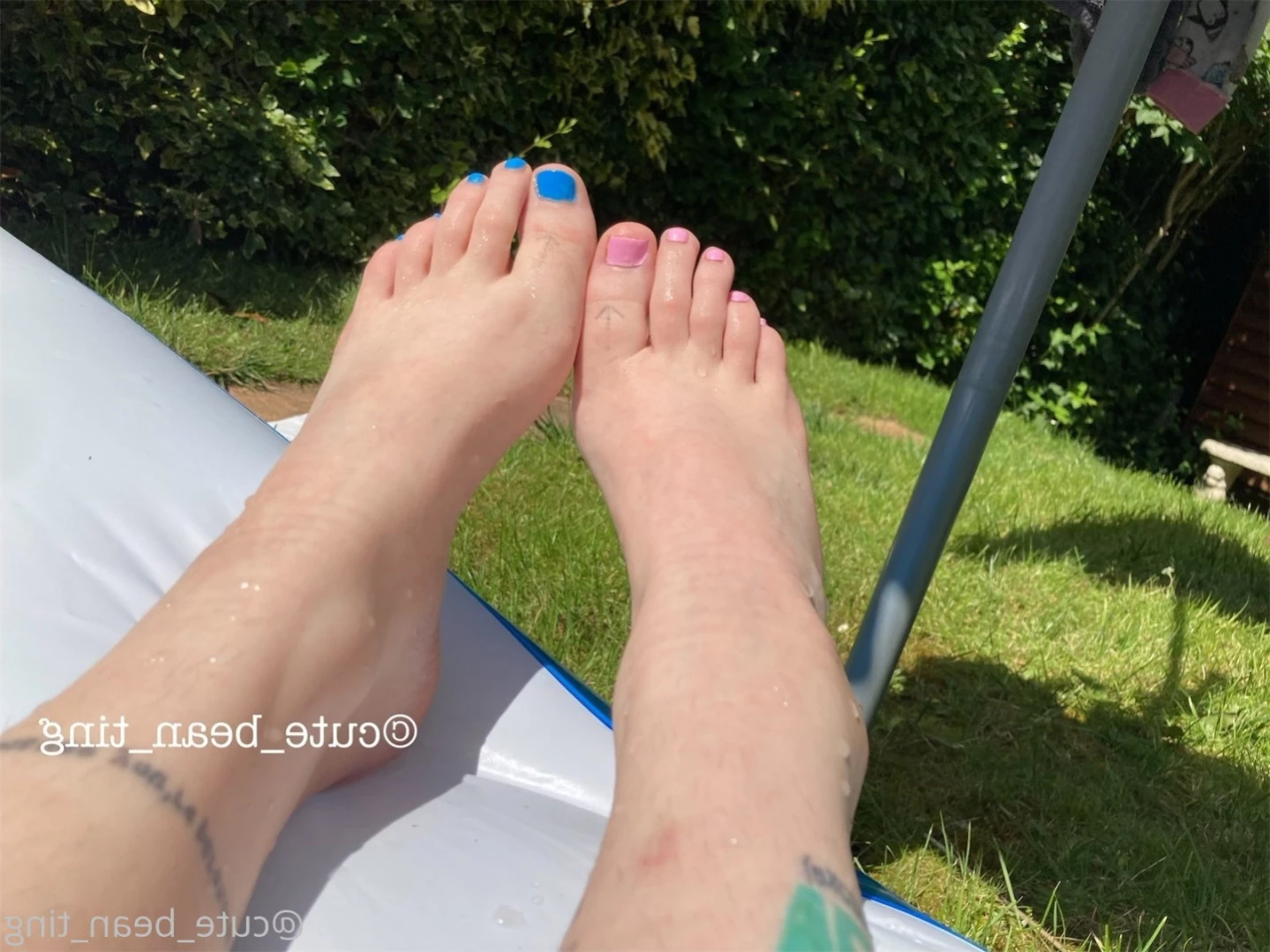 ✨ Alice Bean ✨ V.I.P. [ bean_exclusive ] Onlyfans leaked photo 11291313 on Hotleaks.tv