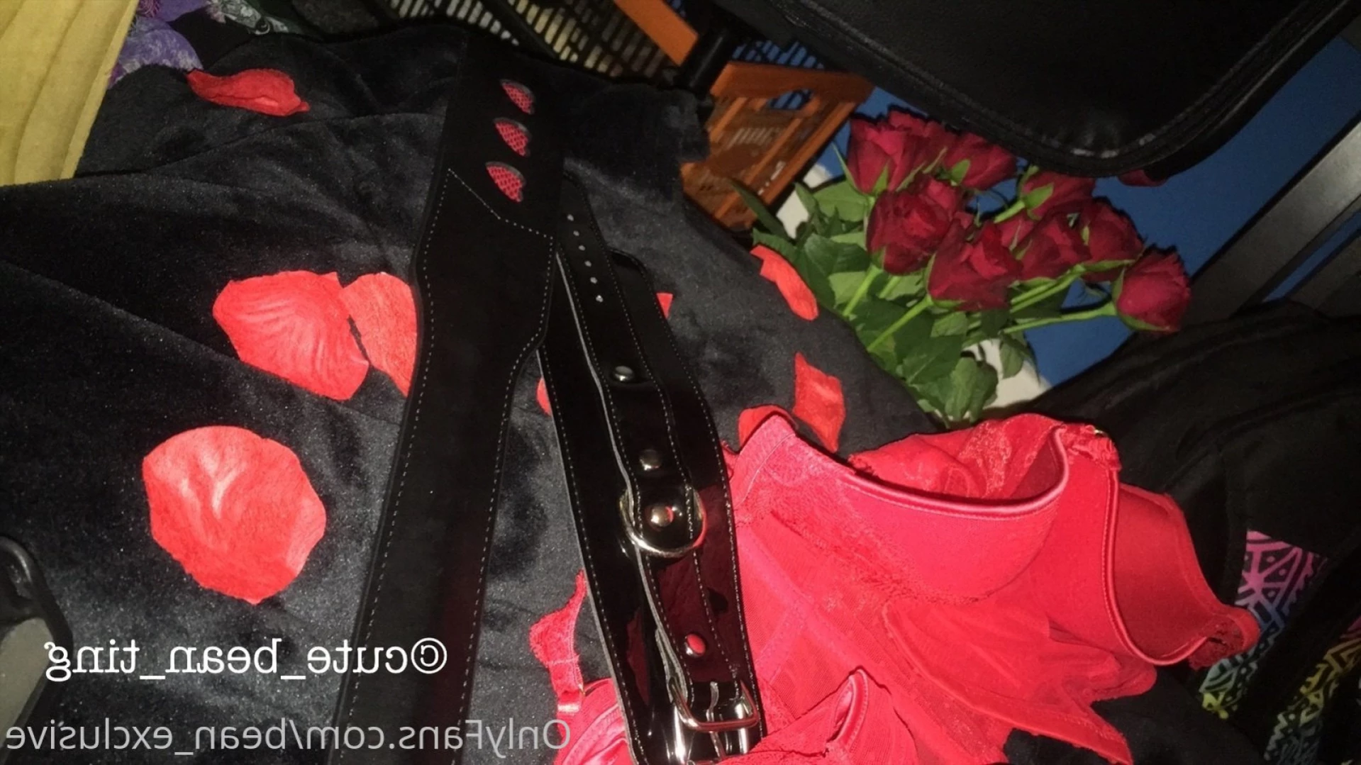 ✨ Alice Bean ✨ V.I.P. [ bean_exclusive ] Onlyfans leaked photo 11293158 on Hotleaks.tv