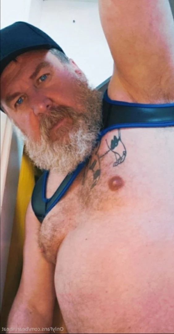 The Daddy Bear Life [ bearinheat ] Onlyfans leaked photo 11000739 on Hotleaks.tv