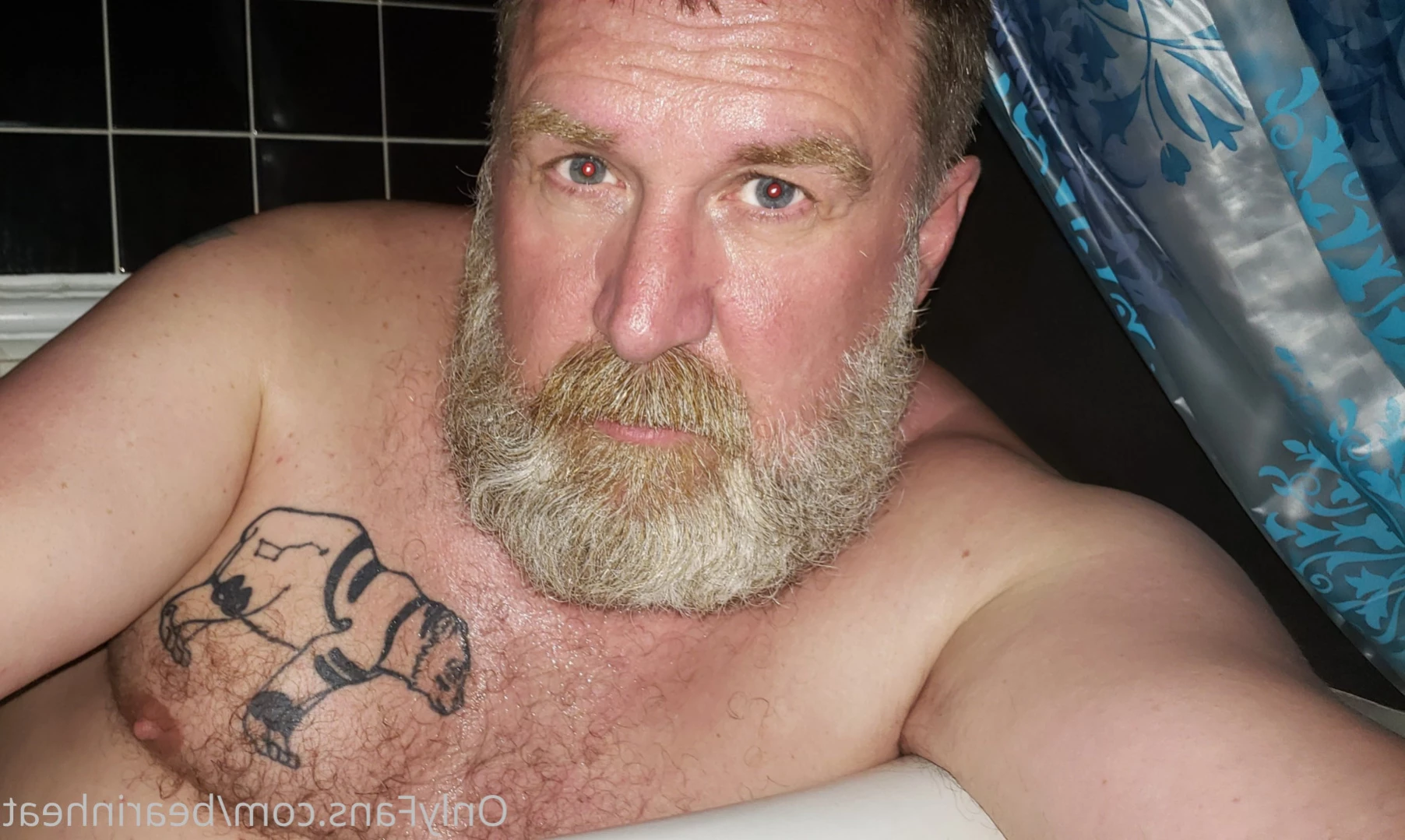 The Daddy Bear Life [ bearinheat ] Onlyfans leaked photo 11028435 on Hotleaks.tv