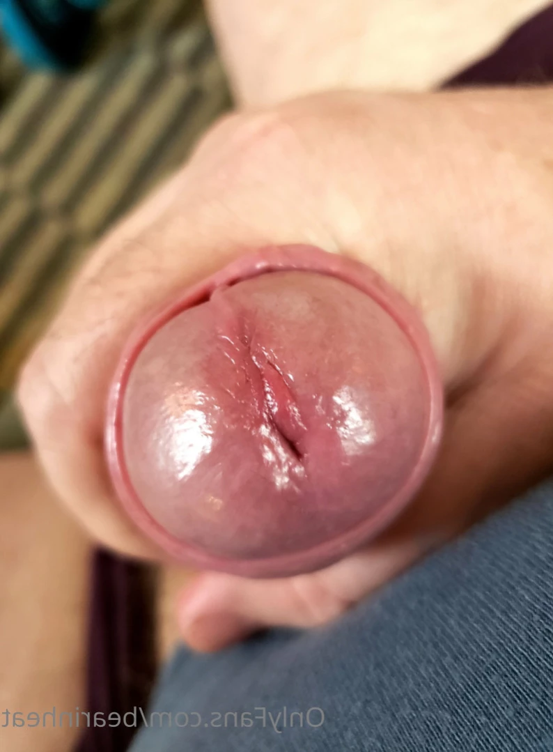 The Daddy Bear Life [ bearinheat ] Onlyfans leaked photo 11291497 on Hotleaks.tv