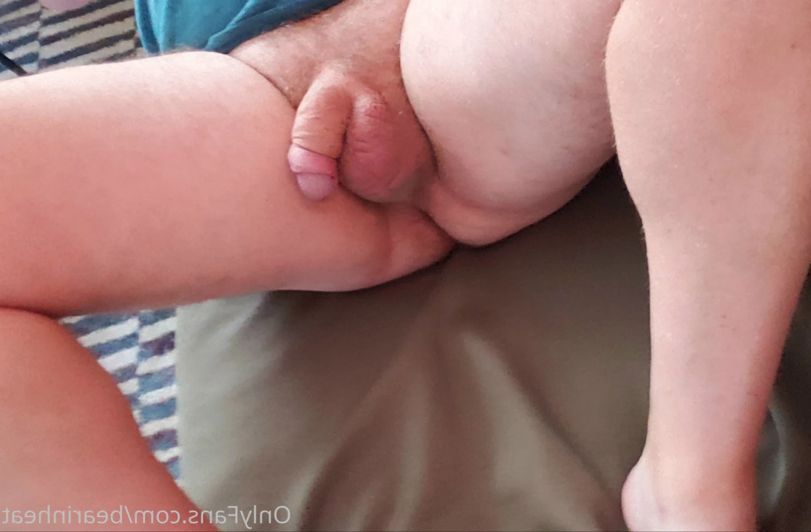 The Daddy Bear Life [ bearinheat ] Onlyfans leaked photo 11291512 on Hotleaks.tv