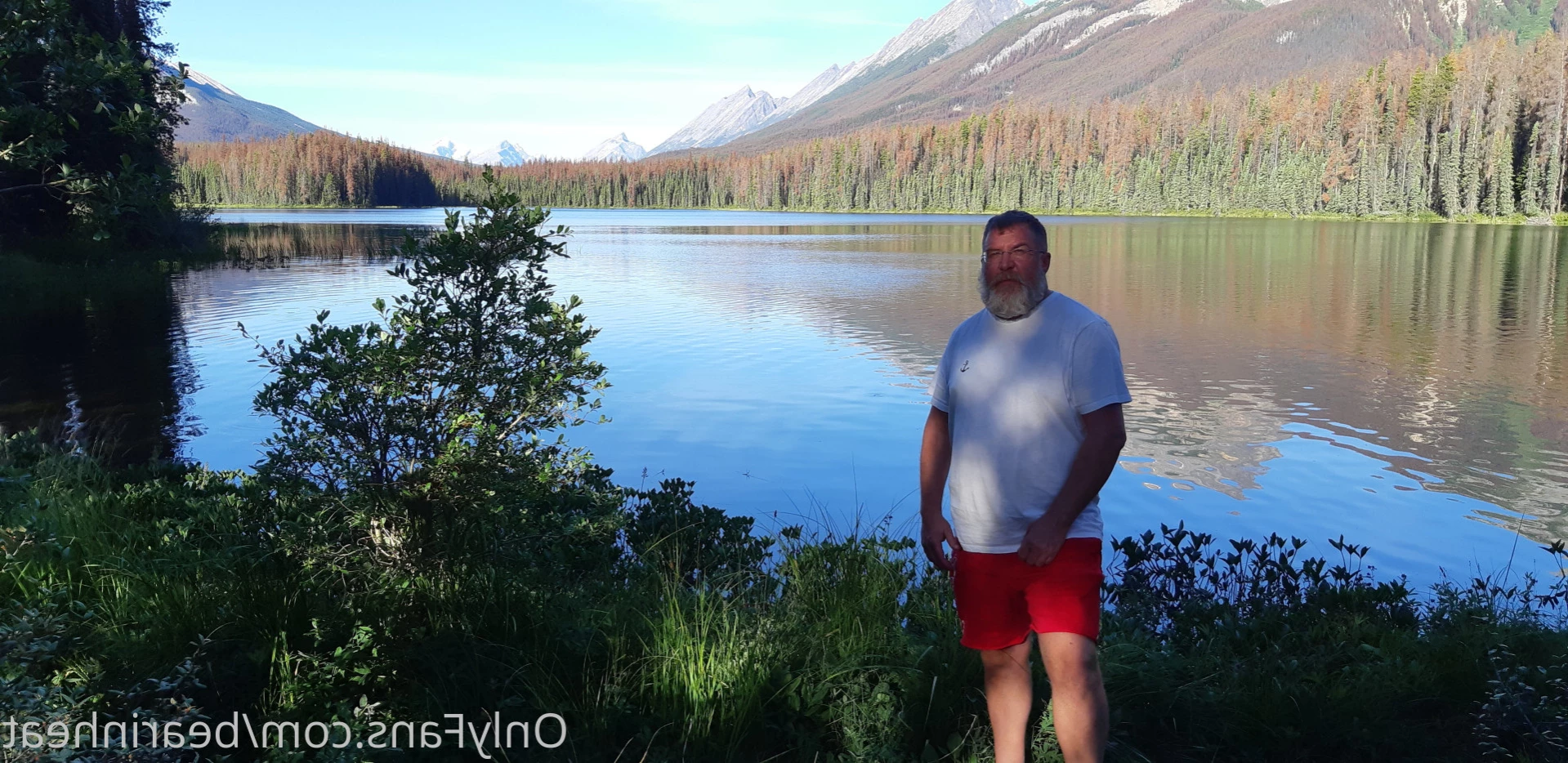 The Daddy Bear Life [ bearinheat ] Onlyfans leaked photo 11291573 on Hotleaks.tv
