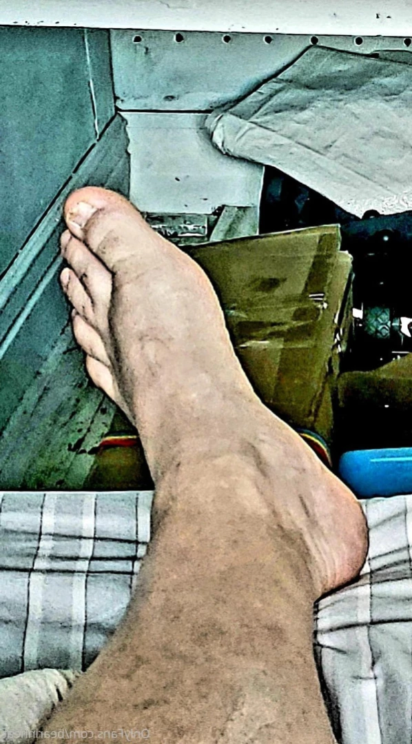 The Daddy Bear Life [ bearinheat ] Onlyfans leaked photo 11291592 on Hotleaks.tv