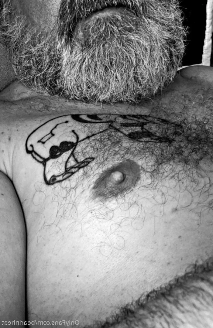 The Daddy Bear Life [ bearinheat ] Onlyfans leaked photo 11291616 on Hotleaks.tv