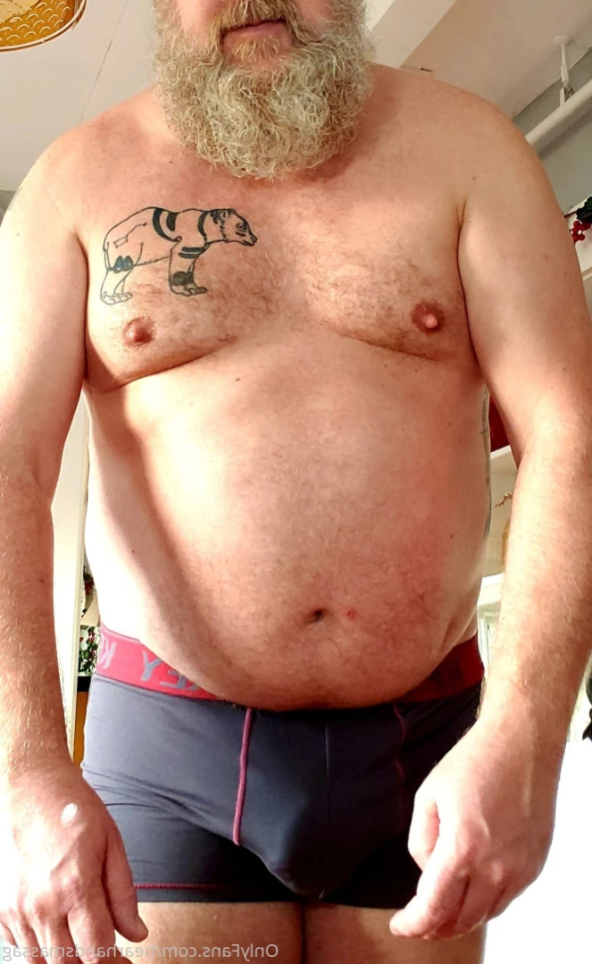 The Daddy Bear Life [ bearinheat ] Onlyfans leaked photo 11291640 on Hotleaks.tv