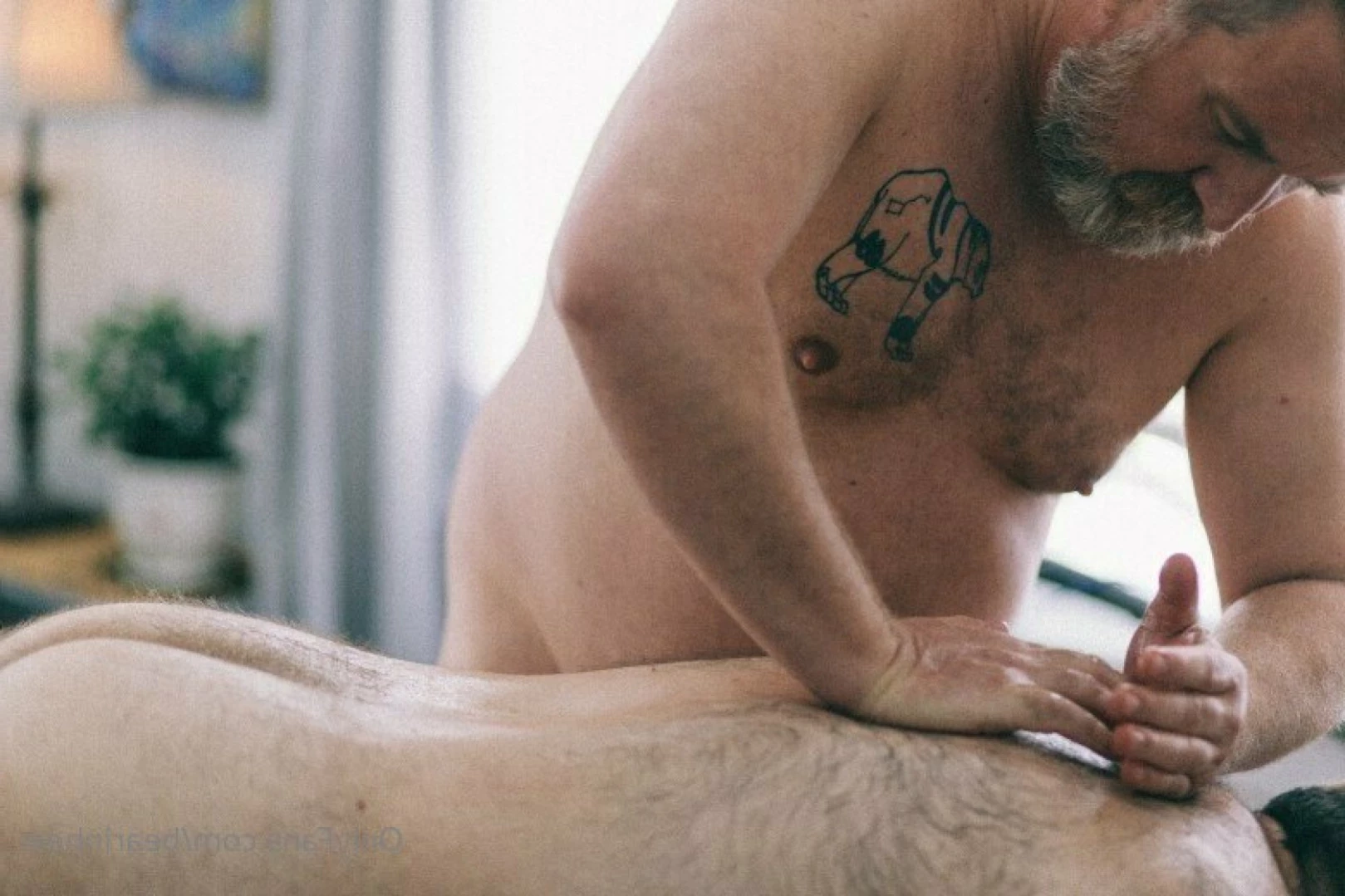 The Daddy Bear Life [ bearinheat ] Onlyfans leaked photo 11291714 on Hotleaks.tv