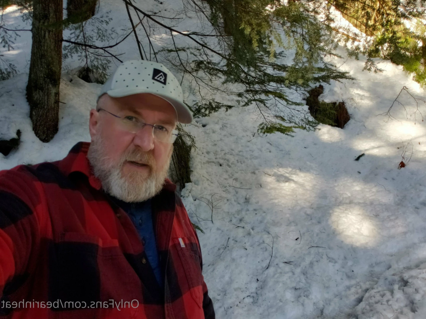 The Daddy Bear Life [ bearinheat ] Onlyfans leaked photo 11291916 on Hotleaks.tv