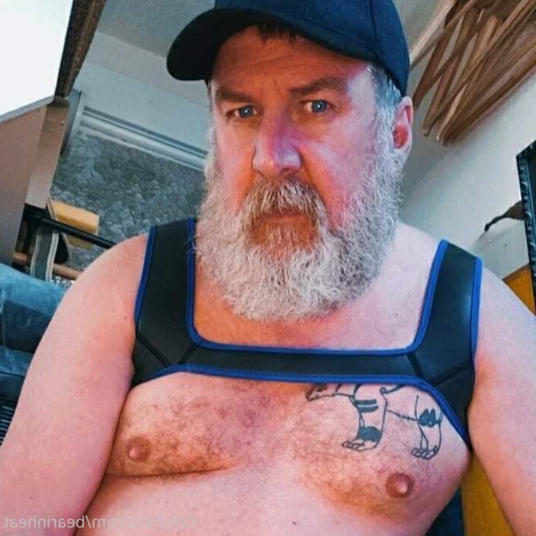 The Daddy Bear Life [ bearinheat ] Onlyfans leaked photo 11291930 on Hotleaks.tv