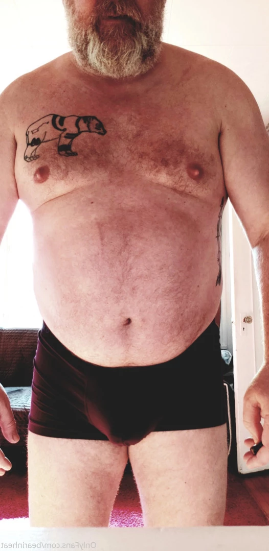 The Daddy Bear Life [ bearinheat ] Onlyfans leaked photo 11291958 on Hotleaks.tv