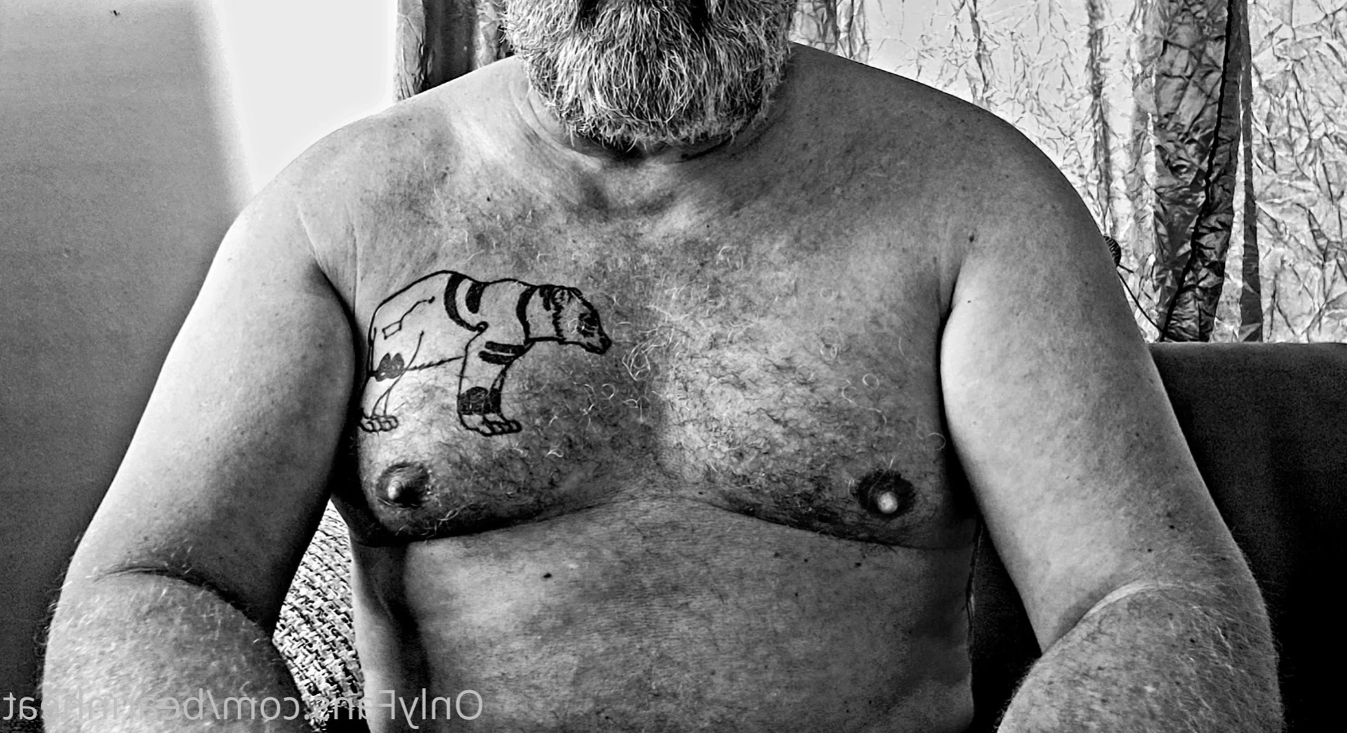 The Daddy Bear Life [ bearinheat ] Onlyfans leaked photo 11291986 on Hotleaks.tv