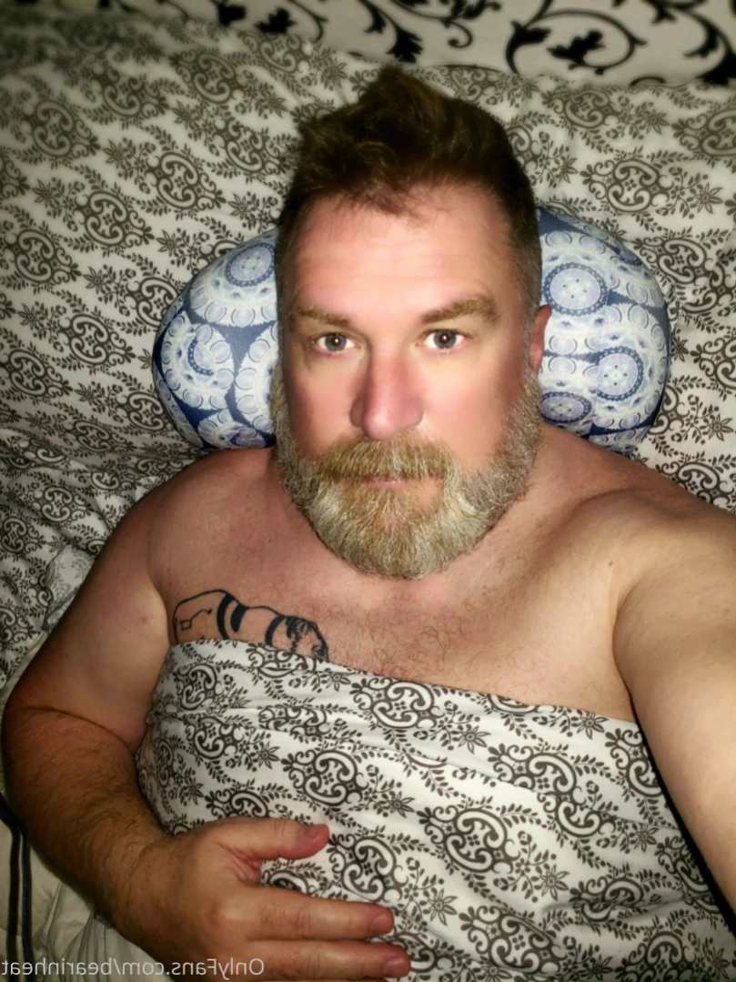 The Daddy Bear Life [ bearinheat ] Onlyfans leaked photo 11292015 on Hotleaks.tv