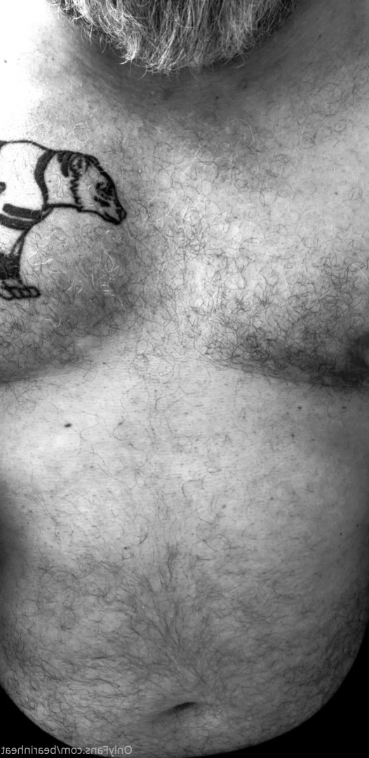The Daddy Bear Life [ bearinheat ] Onlyfans leaked photo 11292060 on Hotleaks.tv