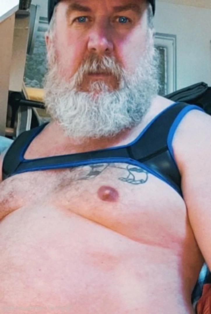 The Daddy Bear Life [ bearinheat ] Onlyfans leaked photo 11292074 on Hotleaks.tv