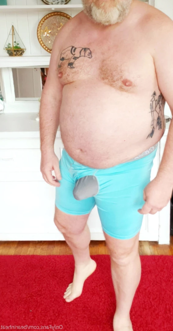 The Daddy Bear Life [ bearinheat ] Onlyfans leaked photo 11292100 on Hotleaks.tv
