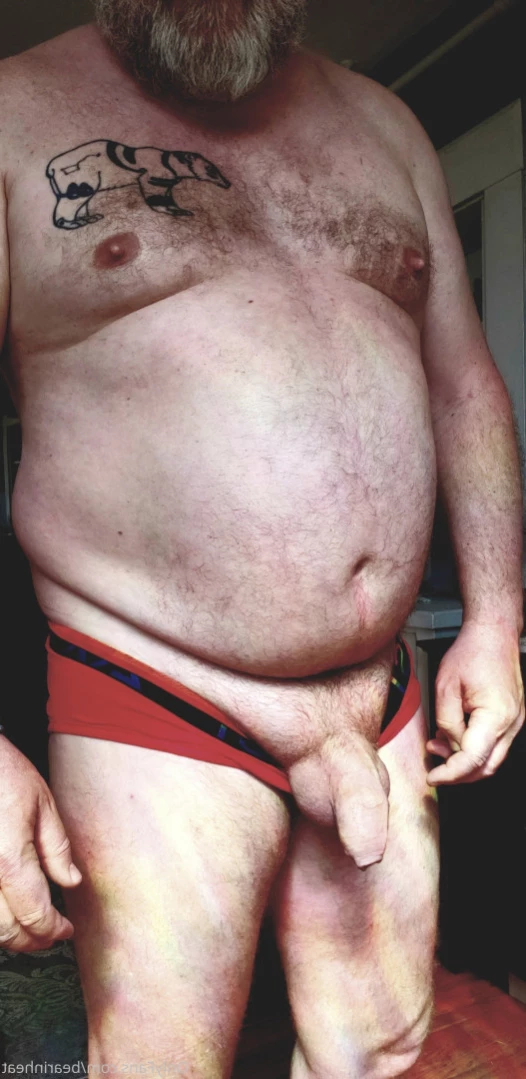 The Daddy Bear Life [ bearinheat ] Onlyfans leaked photo 11292115 on Hotleaks.tv