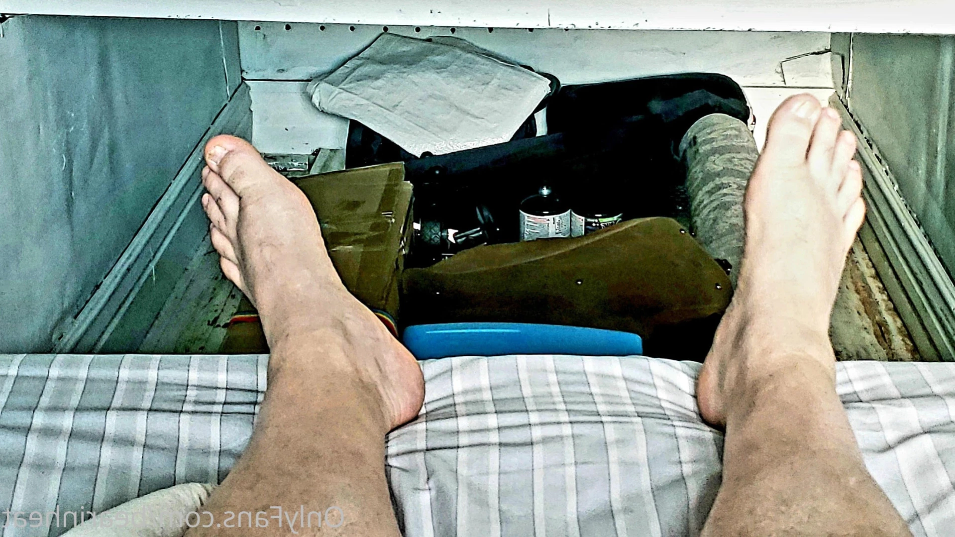 The Daddy Bear Life [ bearinheat ] Onlyfans leaked photo 11292121 on Hotleaks.tv
