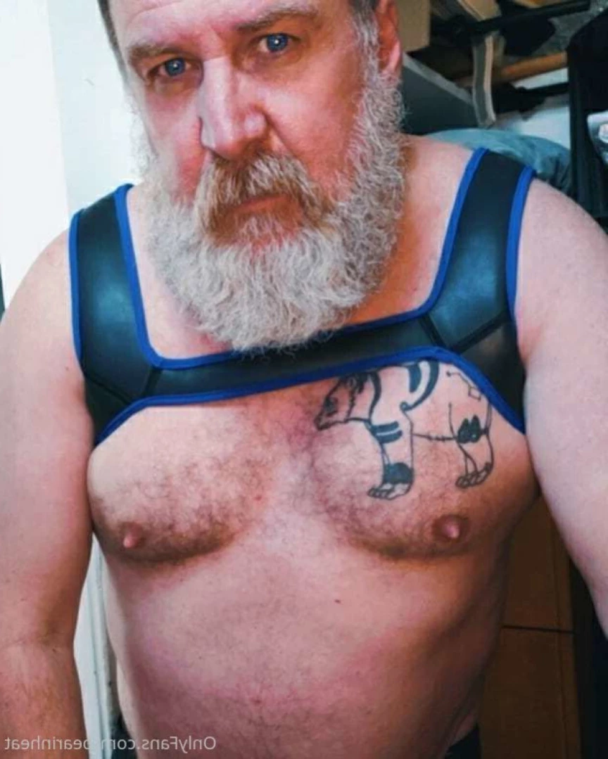 The Daddy Bear Life [ bearinheat ] Onlyfans leaked photo 11292152 on Hotleaks.tv