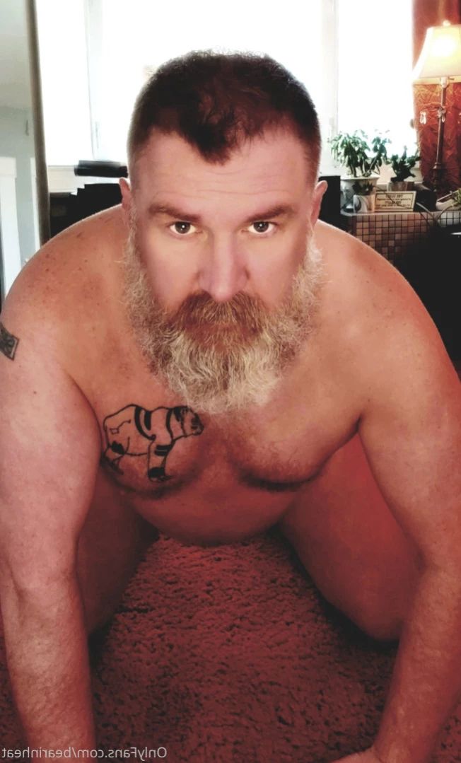 The Daddy Bear Life [ bearinheat ] Onlyfans leaked photo 11292171 on Hotleaks.tv