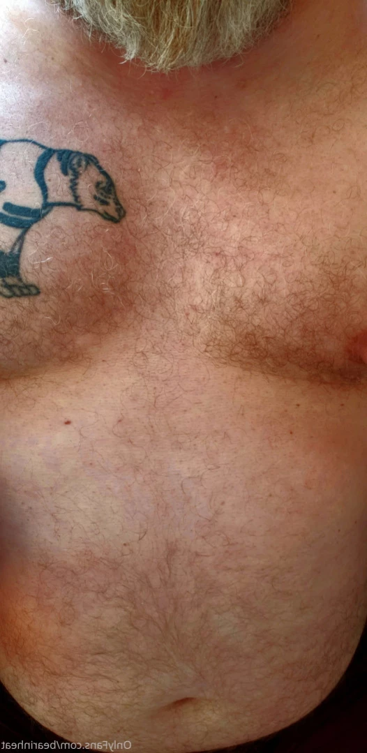 The Daddy Bear Life [ bearinheat ] Onlyfans leaked photo 11292184 on Hotleaks.tv
