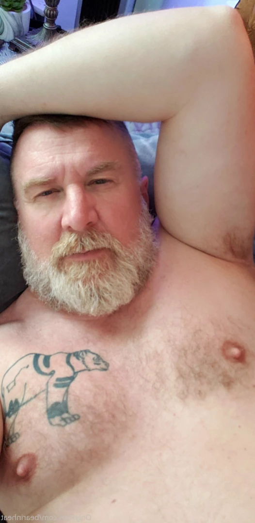 The Daddy Bear Life [ bearinheat ] Onlyfans leaked photo 11292228 on Hotleaks.tv