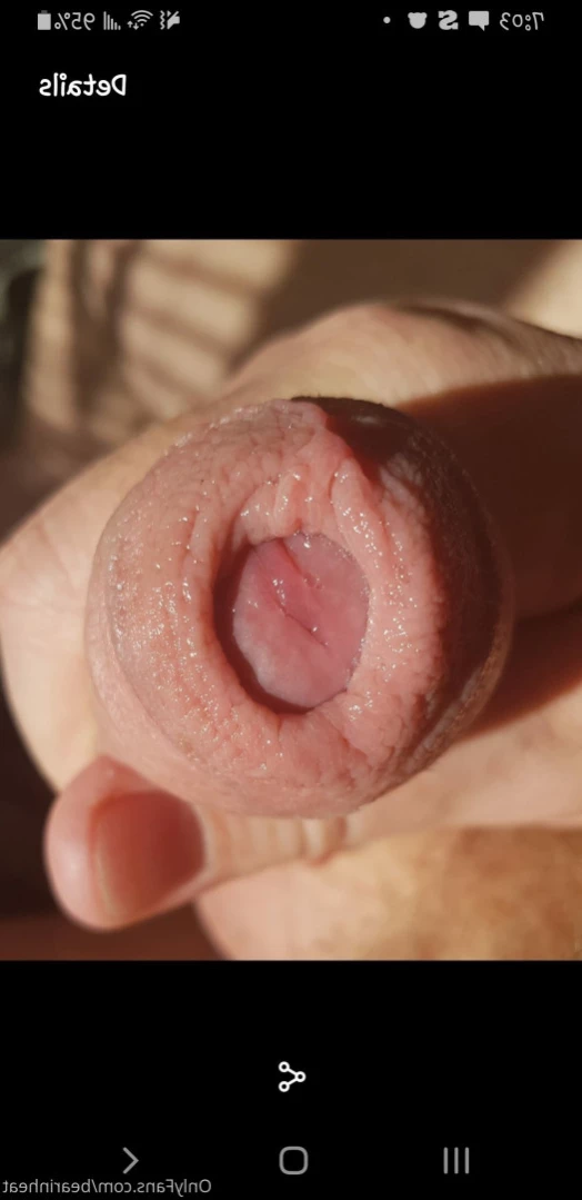 The Daddy Bear Life [ bearinheat ] Onlyfans leaked photo 11292272 on Hotleaks.tv