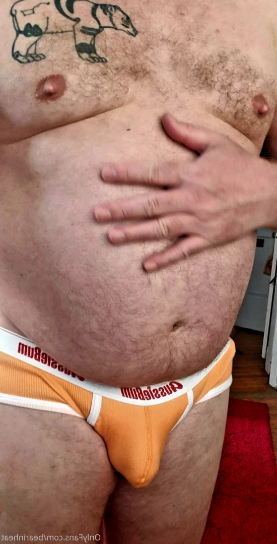 The Daddy Bear Life [ bearinheat ] Onlyfans leaked photo 11297517 on Hotleaks.tv