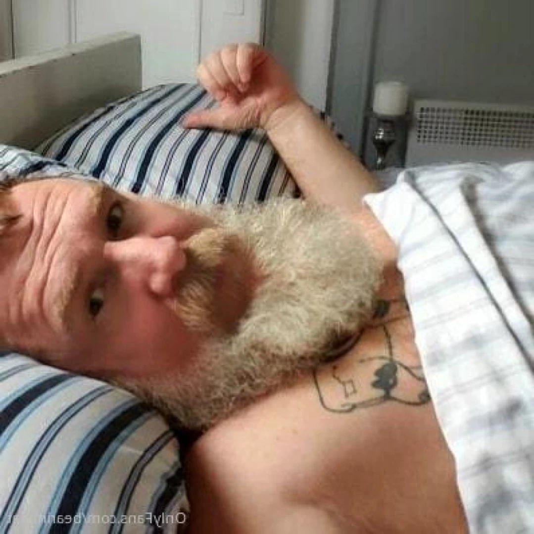 The Daddy Bear Life [ bearinheat ] Onlyfans leaked photo 11297577 on Hotleaks.tv